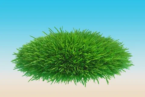 Green grass. Natural grass texture background. Meadow. Spring, summer season 스톡 일러스트