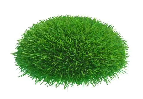 Green grass nature Stock Illustration