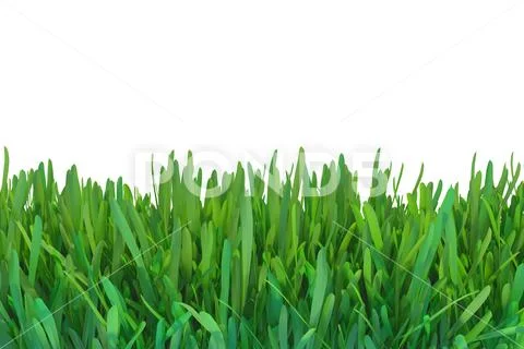 Green grass nature. plants lawn. 3d rendering natural background Stock Illustration