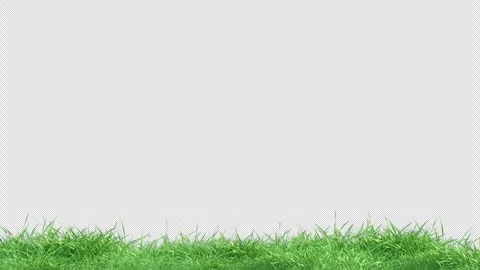Green Grass Patch Swaying Wind Loop Alpha Channel Video stock 337215198