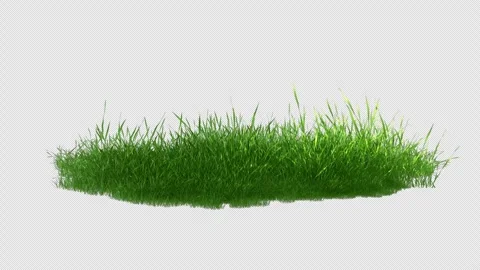 Green Grass Patch on Transparent Alpha Stock Footage 346864165