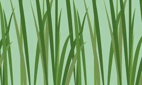 Green Grass Pattern, Natural Botanical background vector illustration. Illustrazione stock