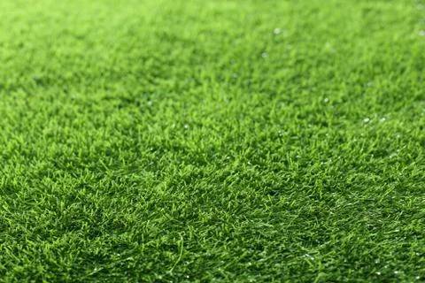 Green grass perspective image Stock Photos