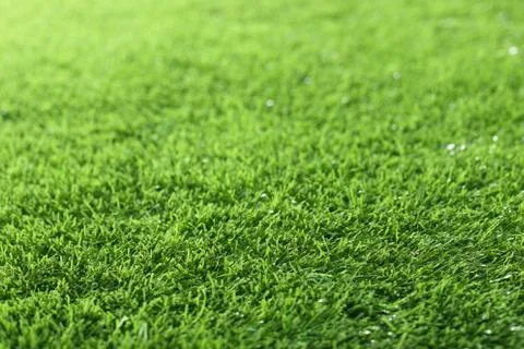 Green grass perspective image Stock Photos