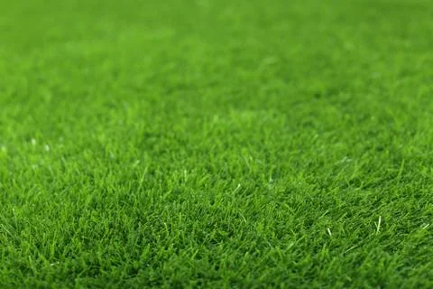 Green grass perspective image Stock Photos