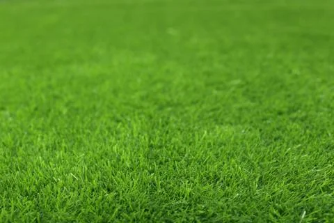 Green grass perspective image Stock-Fotos