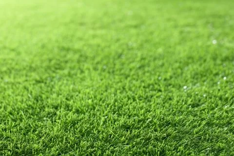 Green grass perspective image Stock Photos