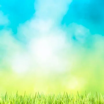 Green grass Foto stock