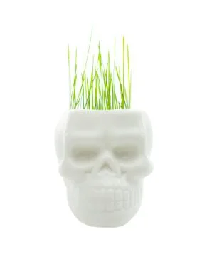 Green grass Stock Photos