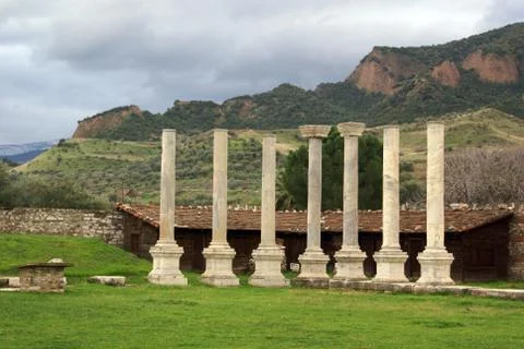 Green grass Stock Photos