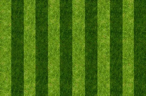 Green grass Stock Photos