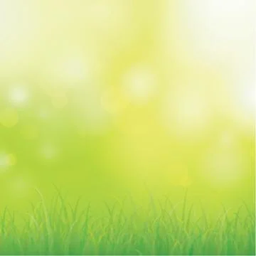 Green grass Stock Photos