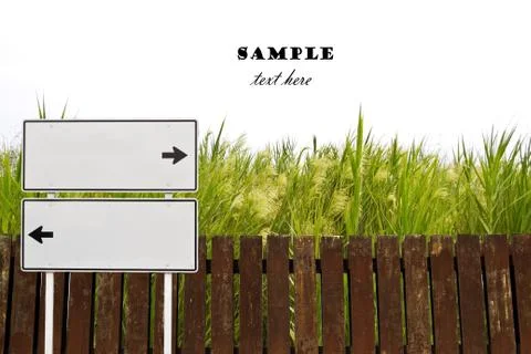 Green grass Stock Photos