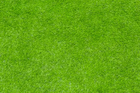 Green grass Foto stock