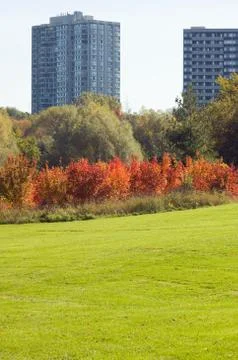 Green grass Stock Photos