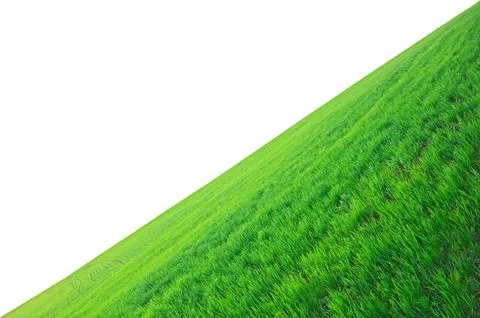 Green grass Stock Photos
