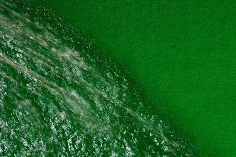 Green grass Stock Photos