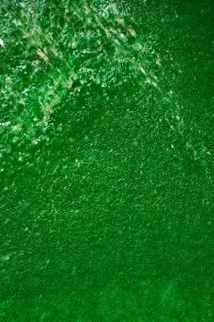 Green grass 스톡 사진