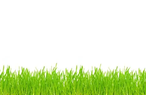 Green grass Stock Photos