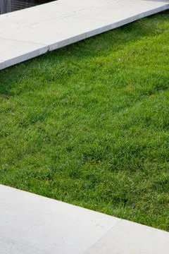 Green grass Stock Photos