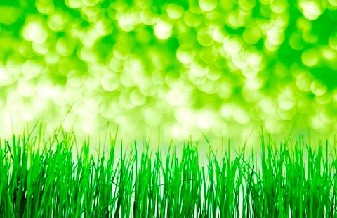 Green grass Stock-Fotos