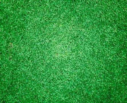 Green Grass Stock Photos