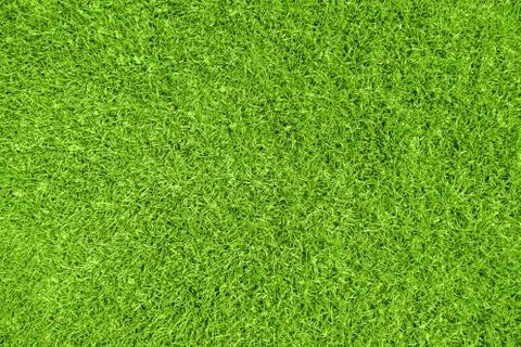 Green grass Stock Photos