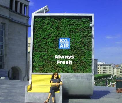 Green grass Stock Photos