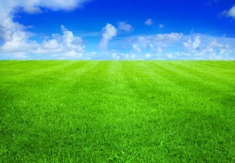Green grass Stock Photos