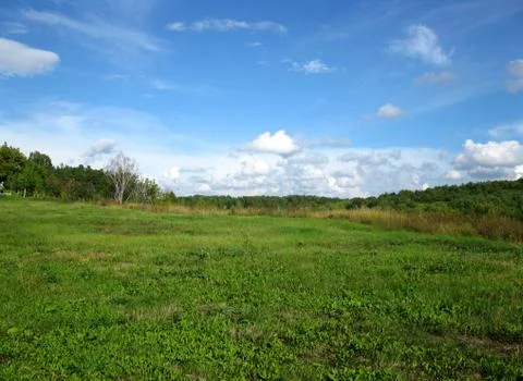 Green grass Stock Photos