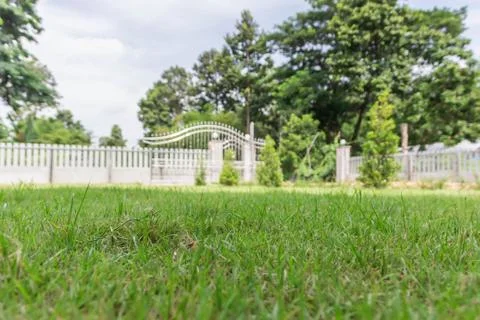 Green Grass Stock Photos