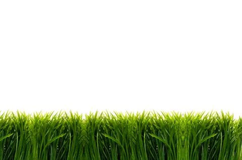 Green grass Stock Photos