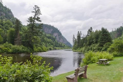 Green grass Stock Photos