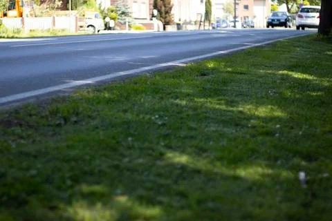 Green grass Stock Photos