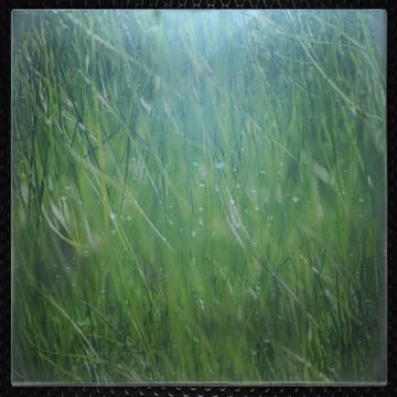 Green grass Stock Photos