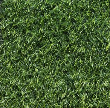 Green grass Stock Photos