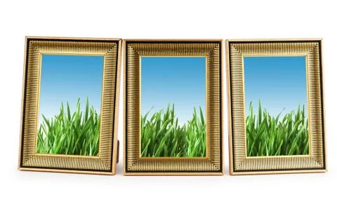 Green grass in the picture frames Stock Photos