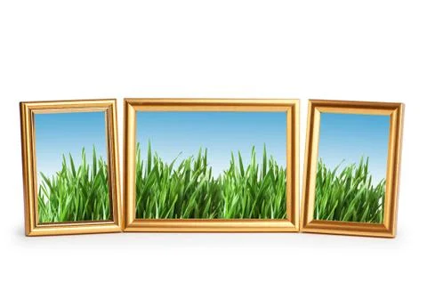 Green grass in the picture frames Stock Photos
