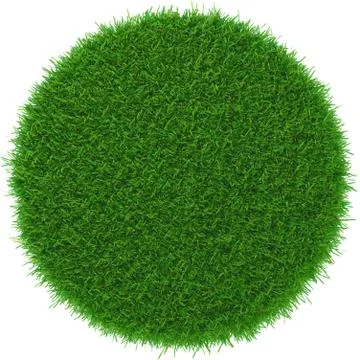 Green grass piece isolated on white background Illustrazione stock