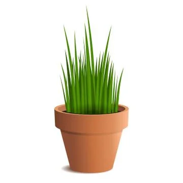 Green grass in a pot isolated on white background. Vector 库存插图