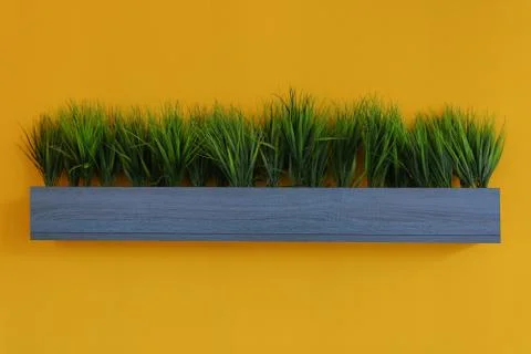 Green Grass in a pot Stock Photos