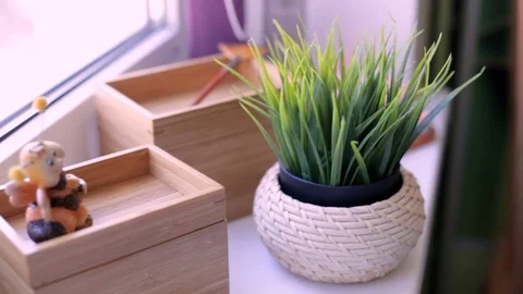Green grass in a pot on the windowsill Stock Footage 84390692