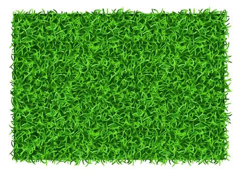Green grass rectangle. Realistic lawn patch top view Stock Illustration