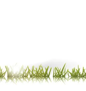 Green grass with reflection and sun isolated Stock Illustration