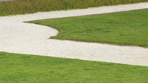 Green grass road shot Stock Footage 84950201