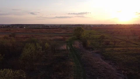 Green grass road in a summer field in sunset light Stock Footage 129395657