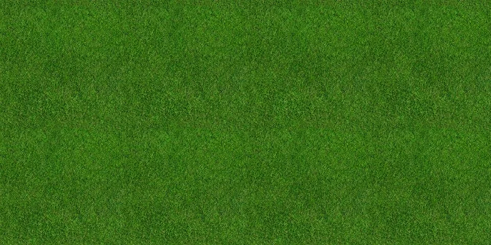 Green grass seamless background texture Illustration