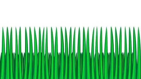 Green grass seamless border, isolated over white, illustration Stock Illustration
