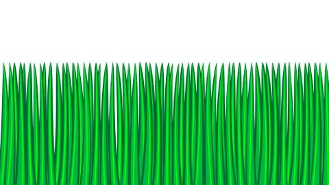 Green grass seamless border, isolated over white, illustration Stock Illustration