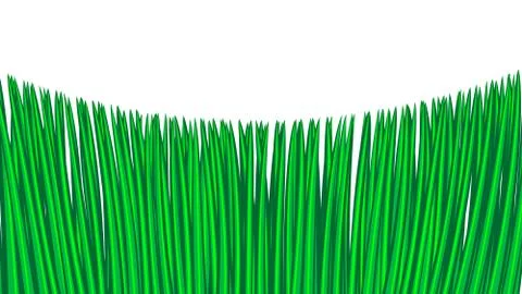 Green grass seamless border, isolated over white, illustration Stock Illustration